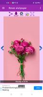 Roses Gallery screenshot 3