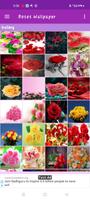 Roses Gallery screenshot 1