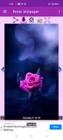 Roses Gallery screenshot 2