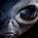 Independence Day APK