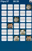 برنامه‌نما Memorize Icon عکس از صفحه