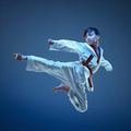 How to Learn Karate