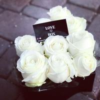 White rose love 포스터