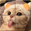 [365fun] MatchingPuzzle Animal icon
