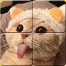 Healing Matching Puzzle Animal APK