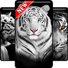 White Tiger Wallpapers HD icon