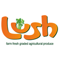 Lush Vegetables
