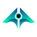 DMS APK