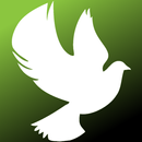 The LifeFM APK