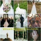 Wedding Marriage Wallpapers simgesi