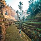 Bali HD Live 2019 Wallpaper icône