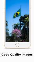 Brazil HD 4K Wallpaper 截图 2