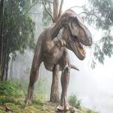 HD Dinosaur Wallpapers icon