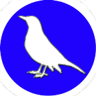 Bird Identifier أيقونة