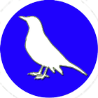 Bird Identifier иконка