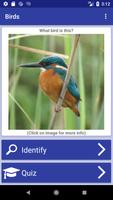 پوستر Bird Identifier