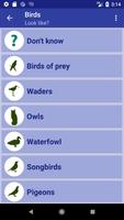 برنامه‌نما Bird Identifier عکس از صفحه