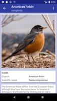 برنامه‌نما Bird Identifier عکس از صفحه