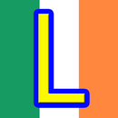 Driver Theory Test Ireland APK