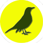 Vogels icon