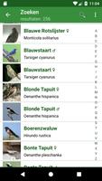 Vogels screenshot 3