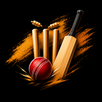 WicketBook - Cricket Score Log APK