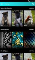 Akita Puppies Wallpaper پوسٹر