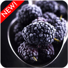 Hình nền trái cây Blackberry biểu tượng