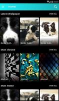 Border Collie Welpen Wallpaper Plakat