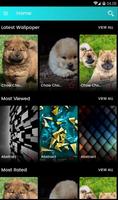 Chow Chow Puppies Wallpaper poster