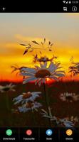 Sunset Flower Wallpaper ภาพหน้าจอ 2