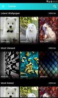 Samoyed Puppies Wallpaper poster