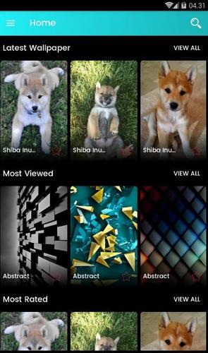 Shiba Inu Puppies壁纸安卓下载，安卓版APK | 免费下载