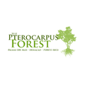Pterocarpus Forest