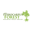 Pterocarpus Forest icône