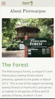 Pterocarpus Forest capture d'écran 3