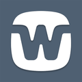WIDEX MAGNIFY