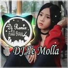 Dj Te Molla Full Bass Offline icon