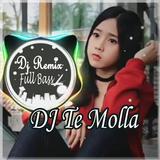 Dj Te Molla Full Bass Offline icône