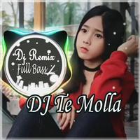 Dj Te Molla Full Bass Offline Affiche