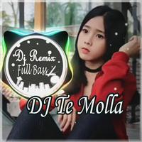 Dj Te Molla Full Bass Offline poster