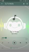 Dj Te Molla Full Bass Offline screenshot 3