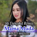 Dj Remix Goyang Mama Muda APK