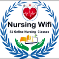 Nursingwifi Academy