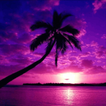 HD Wallpapers - Offline