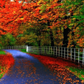HD Wallpapers