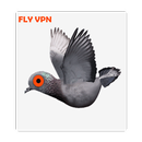 FLY VPN APK