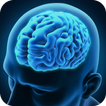 Cerebrum : Brain Training Game