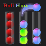 Ball Hunt: Color Sort Puzzle