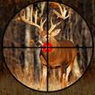 ”Wild Deer Hunter: Classic Game